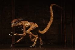 NECA Alien 3 Figuren - Accessory Creature Pack -FUNKO Store 0046fe1c77a8a7e5309f55b9dced346b04cb13598c9af63b0134fa980ca21499