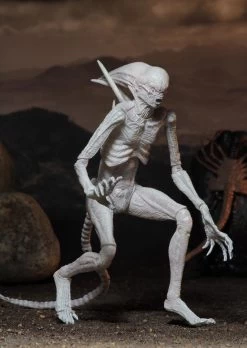 NECA Alien Covenant - Neomorph Alien Actionfigur 10 NECA Alien Covenant - Neomorph Alien Actionfigur -FUNKO Store 2f1f838ce39c252a6bb8a25c74cdb0c17ce432ff8cb890f9c5f05565e7d171ac