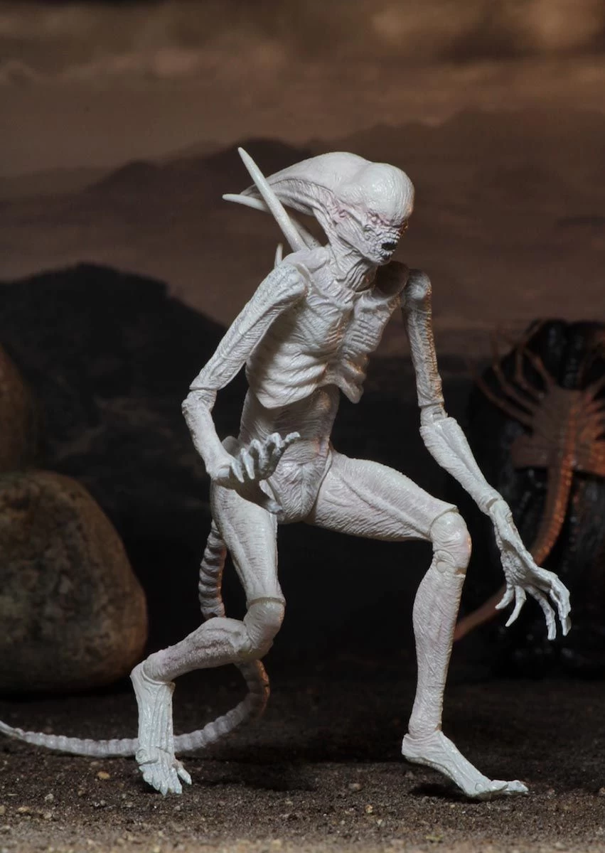 NECA Alien Covenant - Neomorph Alien Actionfigur 4 NECA Alien Covenant - Neomorph Alien Actionfigur – Bild 4