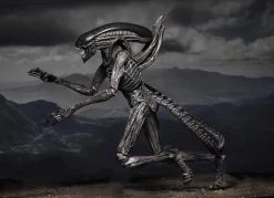 NECA Alien Covenant - Xenomorph Alien Actionfigur -FUNKO Store 3010d9ad3dbdbbfbfeb4b5cfbea0e6209e0c6f43693fb7286b3cc5c04a8ed201