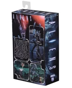 NECA Aliens (1986) - Blue Ultimate Alien Warrior Actionfigur 12 NECA Aliens (1986) - Blue Ultimate Alien Warrior Actionfigur -FUNKO Store 3f184f717f0ca8ce177e51fa598aa17b149898297a88043dadd8126bab1fc709