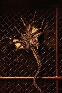 NECA Alien 3 Figuren - Accessory Creature Pack -FUNKO Store 650519fd1d02afade92b6220134166a09d18ce077c8a3c76c37d959917e68d3f