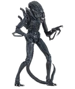 NECA Aliens (1986) - Blue Ultimate Alien Warrior Actionfigur 9 NECA Aliens (1986) - Blue Ultimate Alien Warrior Actionfigur -FUNKO Store 6b41a5b0bfb6c6e2bbd3b880e26339a4ff508cb3d9ceca140982c4e431ff372b
