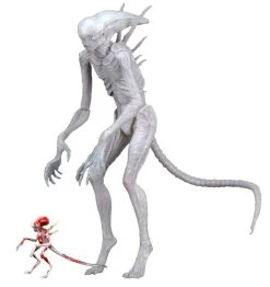 NECA Alien Covenant - Neomorph Alien Actionfigur 9 NECA Alien Covenant - Neomorph Alien Actionfigur -FUNKO Store 77af786f36246b57a7461480d9859fec9cb1d9212122a8a07bd7b875f45214bb