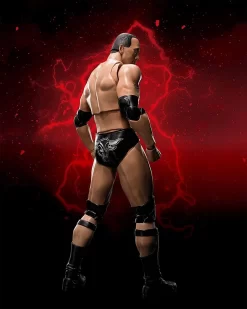 WWE Superstar Series - The Rock - S.H. Figuarts Figur -FUNKO Store 81h6f8v uzl. ac sl1500