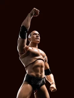 WWE Superstar Series - The Rock - S.H. Figuarts Figur -FUNKO Store 81igpavzhnl. ac sl1500