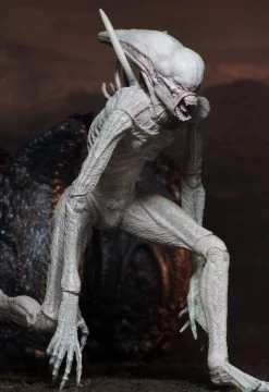 NECA Alien Covenant - Neomorph Alien Actionfigur 13 NECA Alien Covenant - Neomorph Alien Actionfigur -FUNKO Store 82eba2737dcc9389678b3c66e5e7cd795af67d519d4e1c5f2dcf3958cf8afe11
