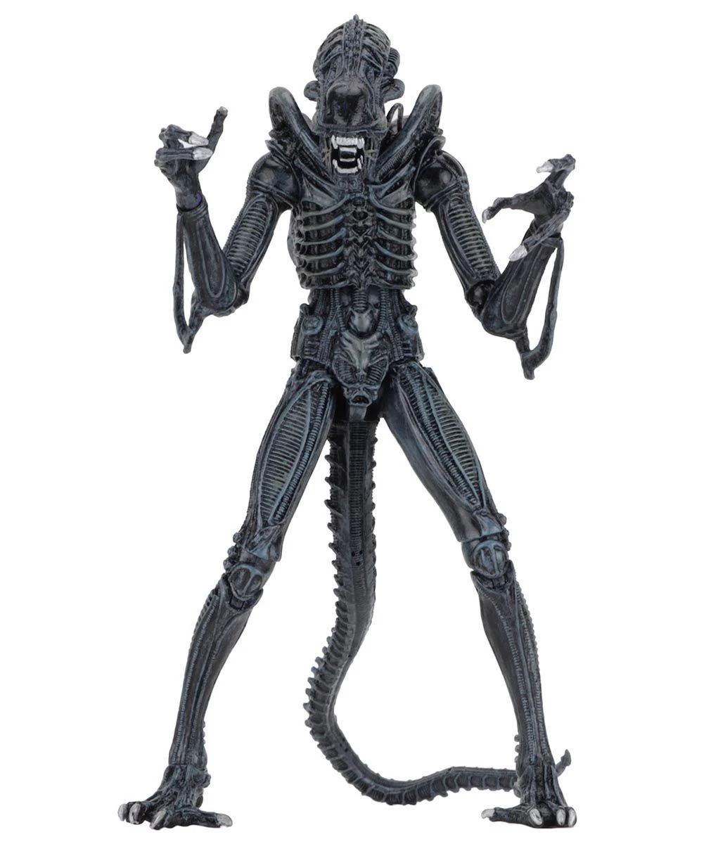 NECA Aliens (1986) - Blue Ultimate Alien Warrior Actionfigur 2 NECA Aliens (1986) - Blue Ultimate Alien Warrior Actionfigur – Bild 2
