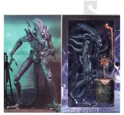 NECA Aliens (1986) - Blue Ultimate Alien Warrior Actionfigur 13 NECA Aliens (1986) - Blue Ultimate Alien Warrior Actionfigur -FUNKO Store ff2a1f626089d156daa205031430c7370cfb116ec6c432f5567bad0032835c69