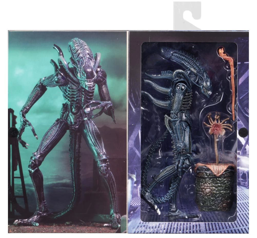 NECA Aliens (1986) - Blue Ultimate Alien Warrior Actionfigur 7 NECA Aliens (1986) - Blue Ultimate Alien Warrior Actionfigur – Bild 7